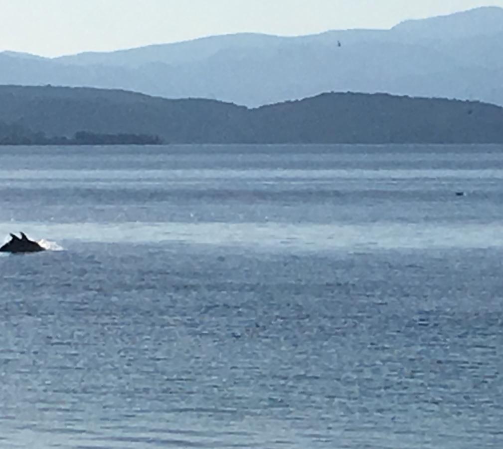 Maravellia Hotel Loutra Edipsou  Bagian luar foto